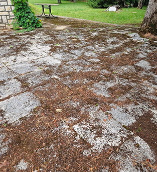 Artisan couvreur à Colayrac-Saint-Cirq (47450)  - Nelson Martin Couverture dans le Lot-et-Garonne (47)