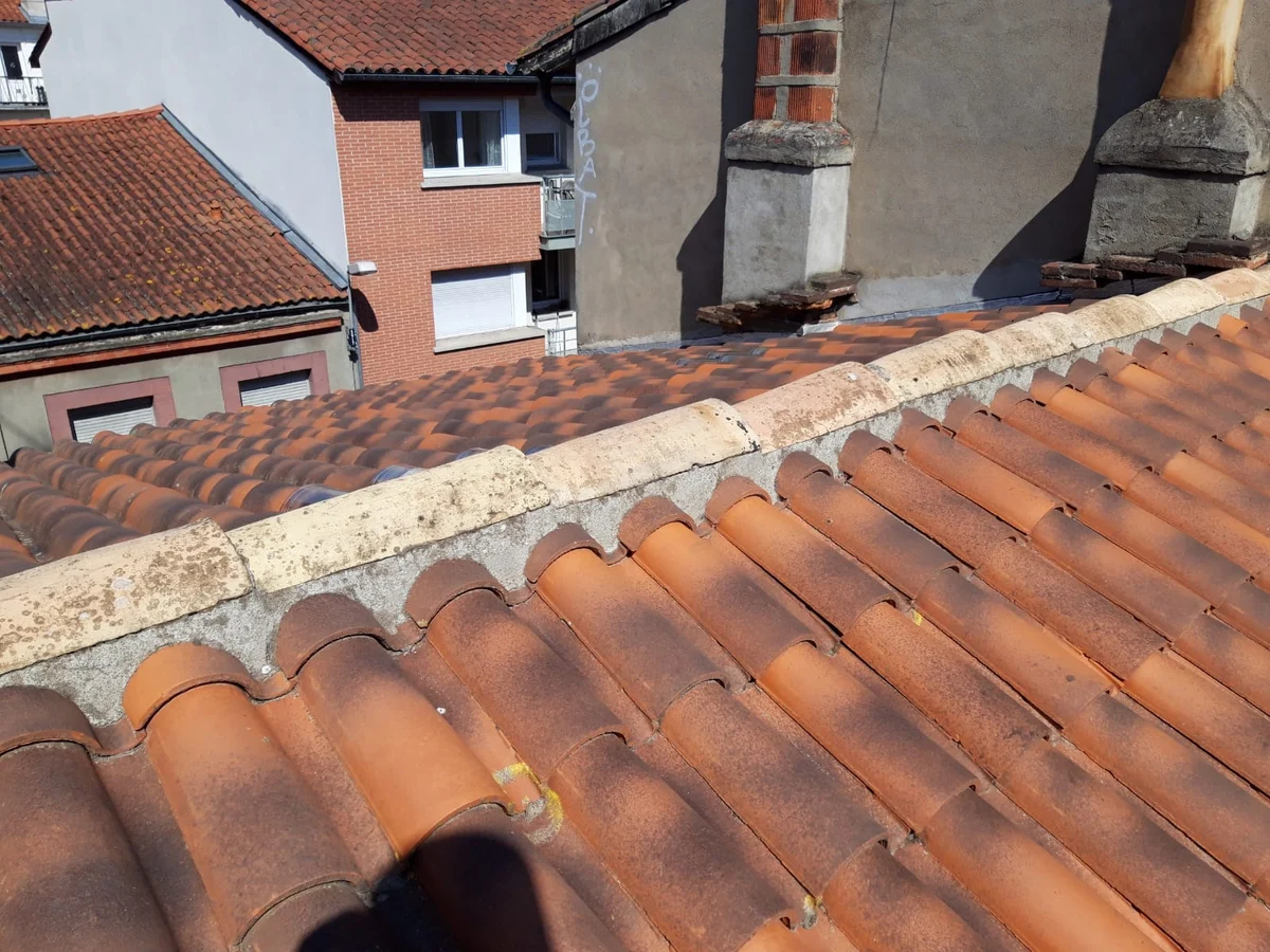 Toiture en tuiles anciennes, avec un faîtage et des bâtiments voisins avant travaux