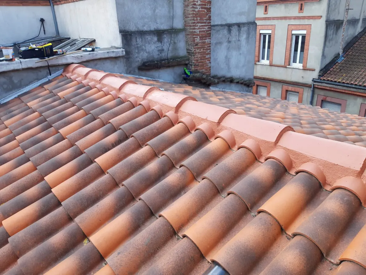 Toiture en tuiles avec faîtage et bâtiments alentour